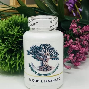Blood and Lymphatic